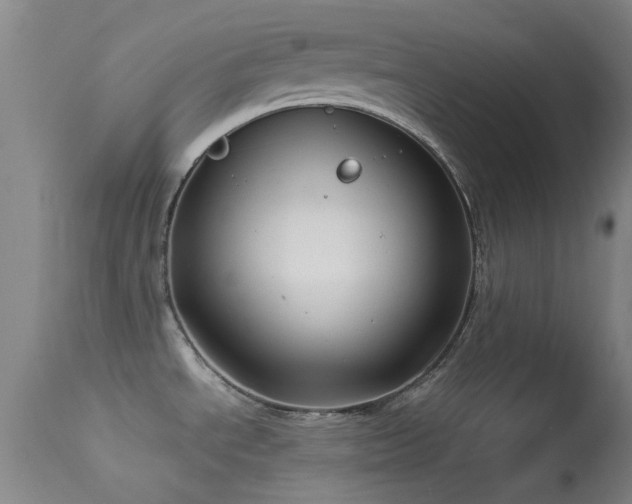X0000113251534200909171614