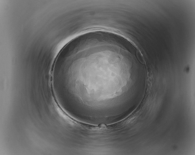 X0000113251535200909171614