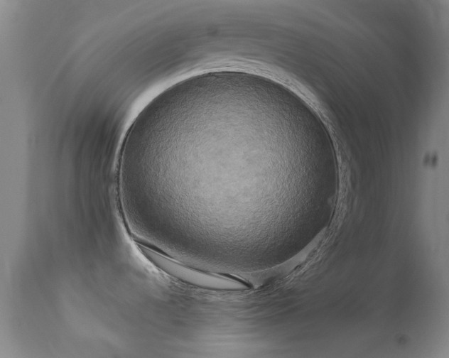 X0000113251536200909171614