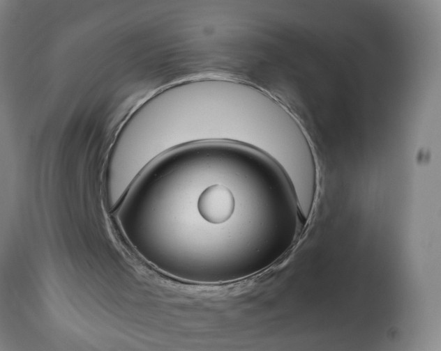 X0000113250001200909241622