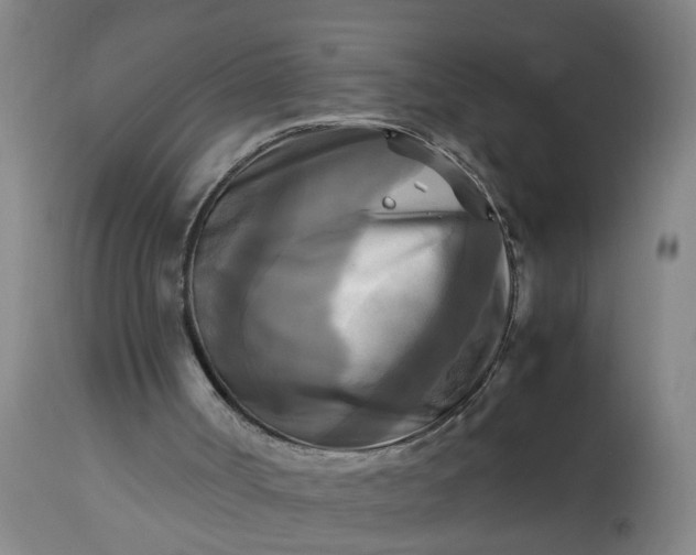 X0000113250002200909241622