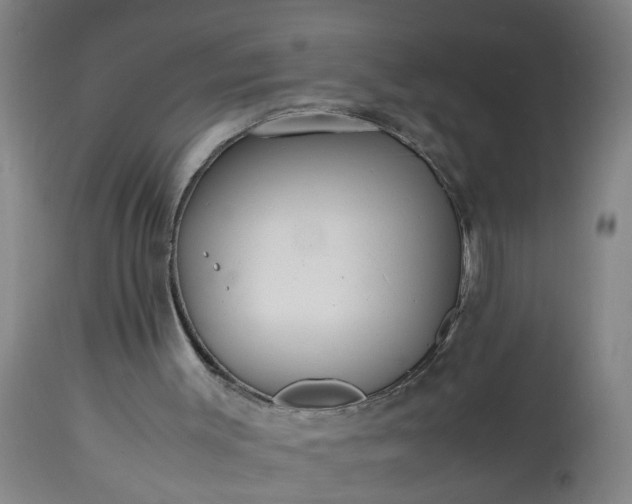 X0000113250003200909241622