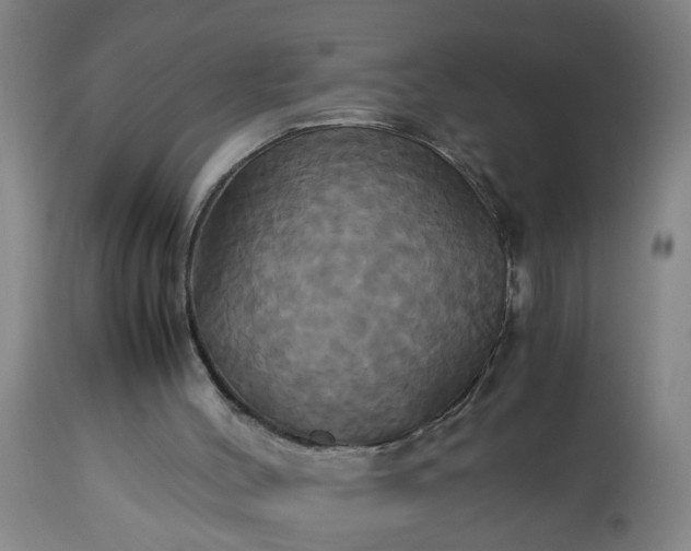 X0000113250004200909241622