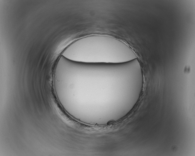 X0000113250005200909241622