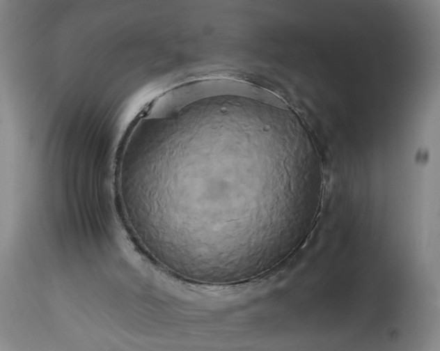 X0000113250006200909241622