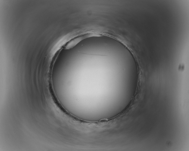 X0000113250007200909241622