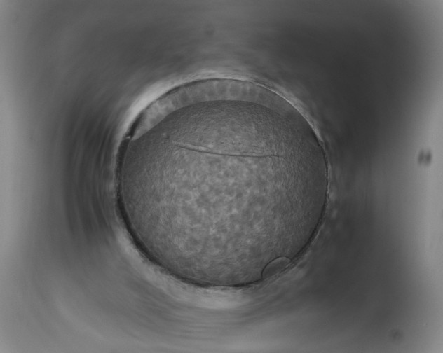 X0000113250008200909241622