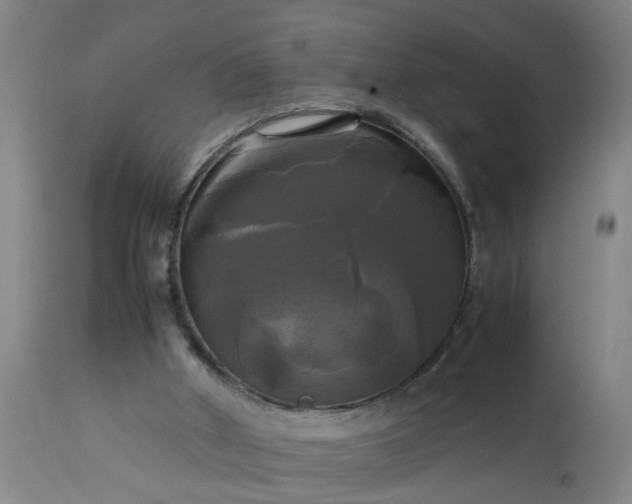 X0000113250010200909241622