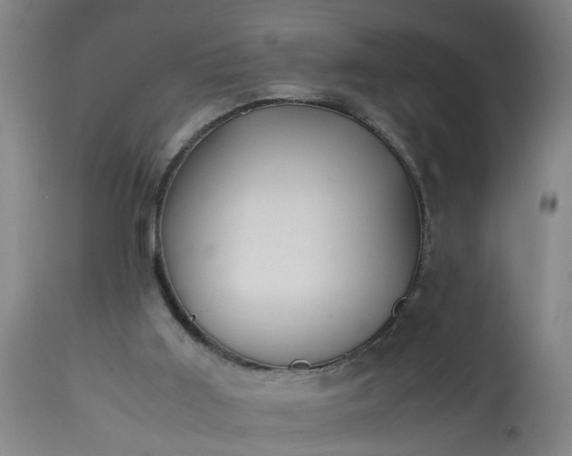 X0000113250011200909241622