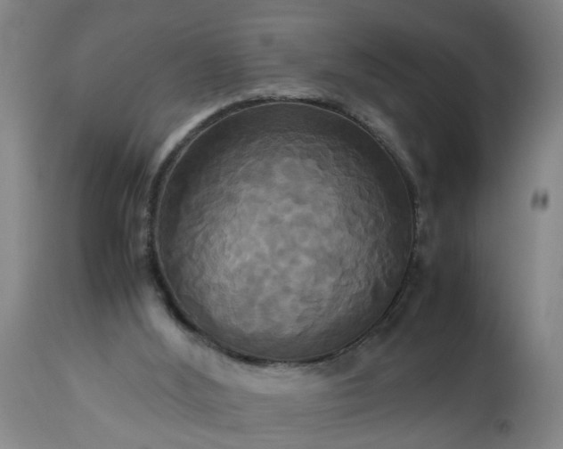 X0000113250012200909241622