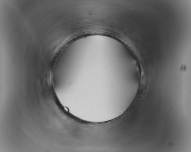 X0000113250013200909241622