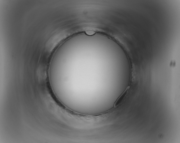 X0000113250015200909241622