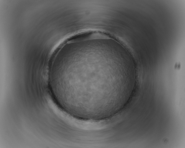 X0000113250016200909241622