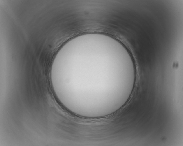 X0000113250017200909241622