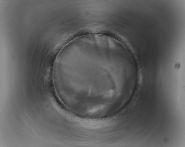 X0000113250018200909241622