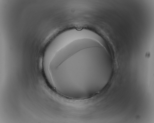 X0000113250019200909241622