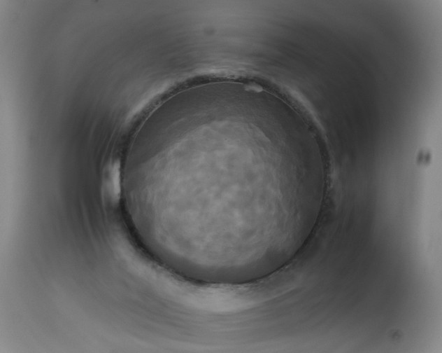 X0000113250020200909241622