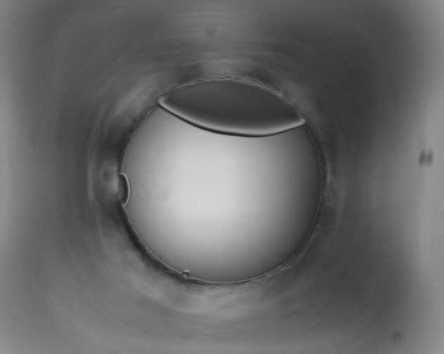 X0000113250021200909241622