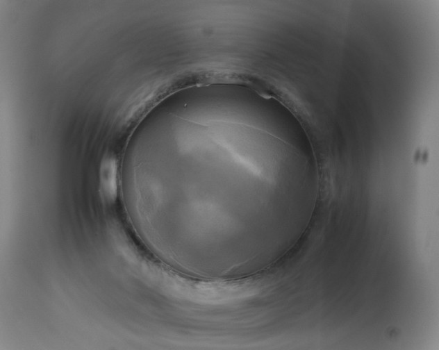 X0000113250022200909241622