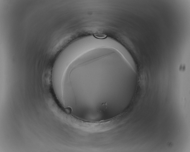 X0000113250023200909241622