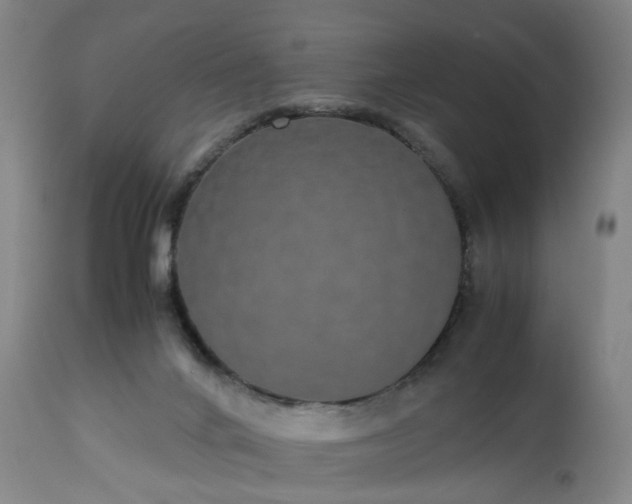 X0000113250024200909241622