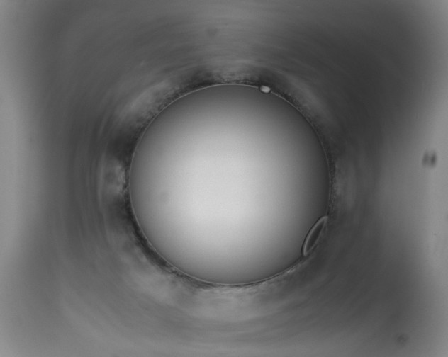 X0000113250025200909241622