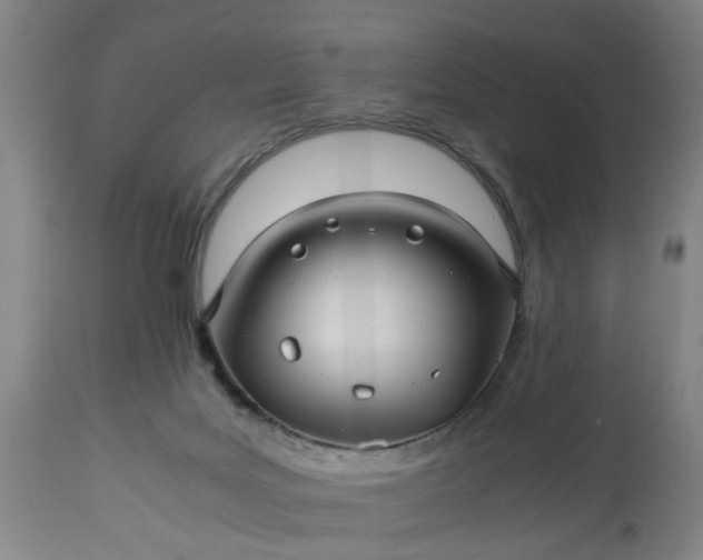 X0000113250027200909241622