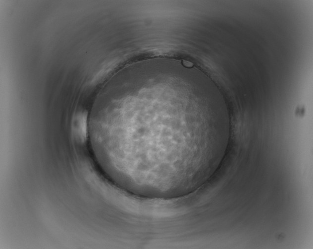 X0000113250028200909241622