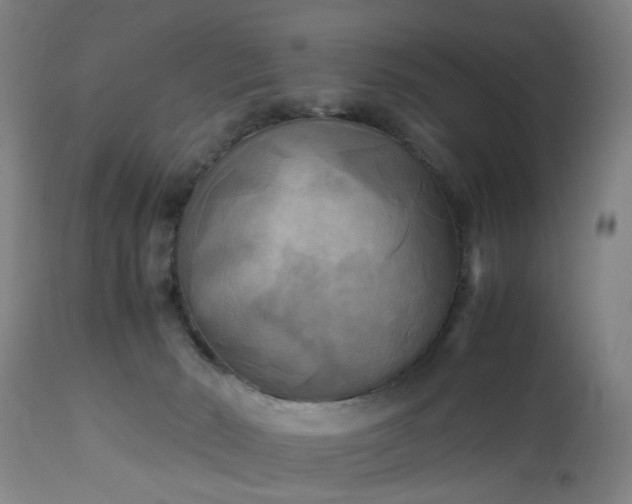 X0000113250030200909241622