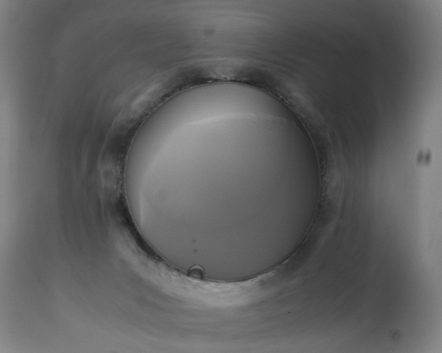 X0000113250031200909241622