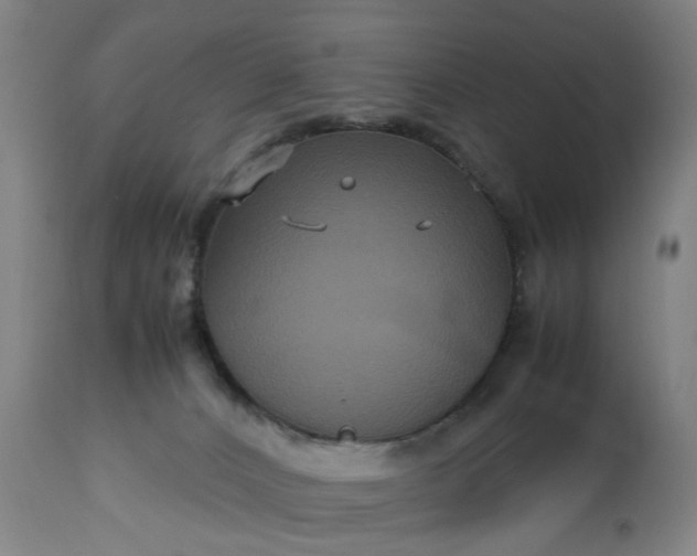 X0000113250032200909241622