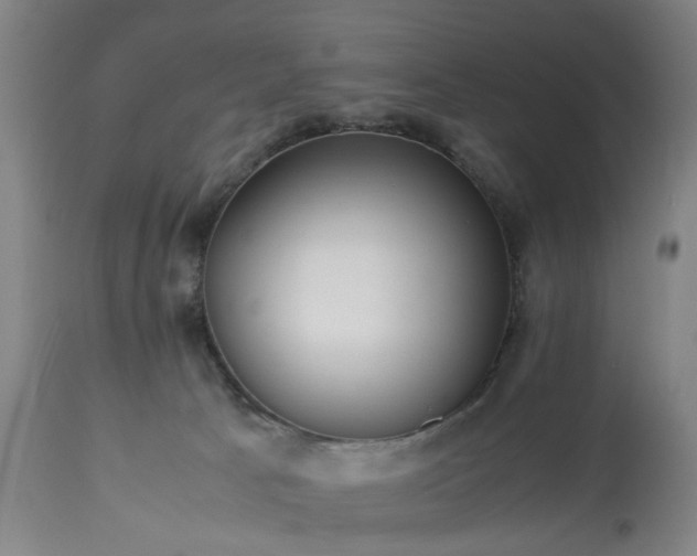 X0000113250033200909241622