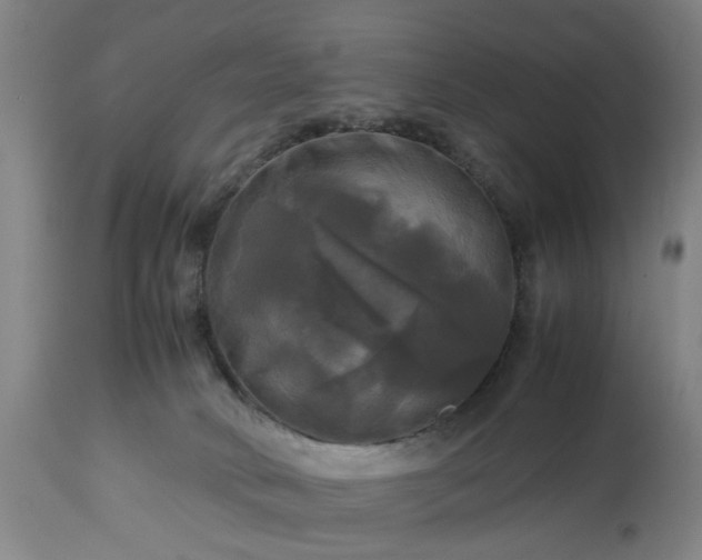 X0000113250034200909241622