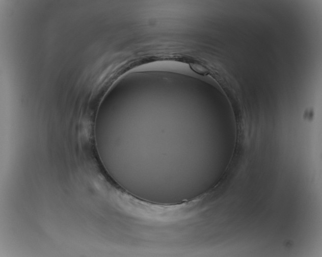 X0000113250035200909241622