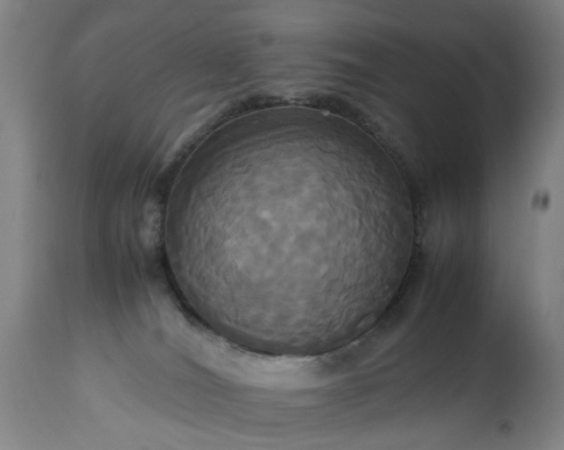 X0000113250036200909241622