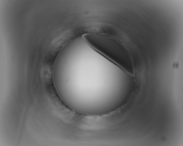 X0000113250037200909241622