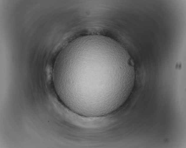 X0000113250038200909241622