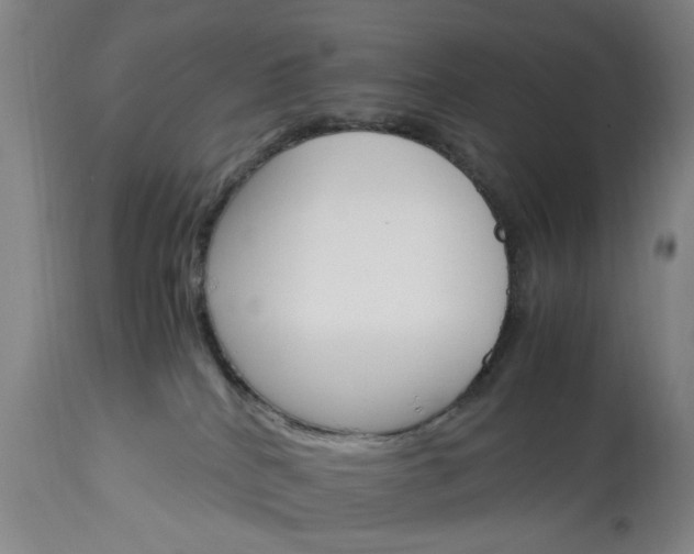 X0000113250040200909241622