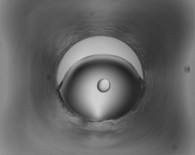 X0000113250041200909241622