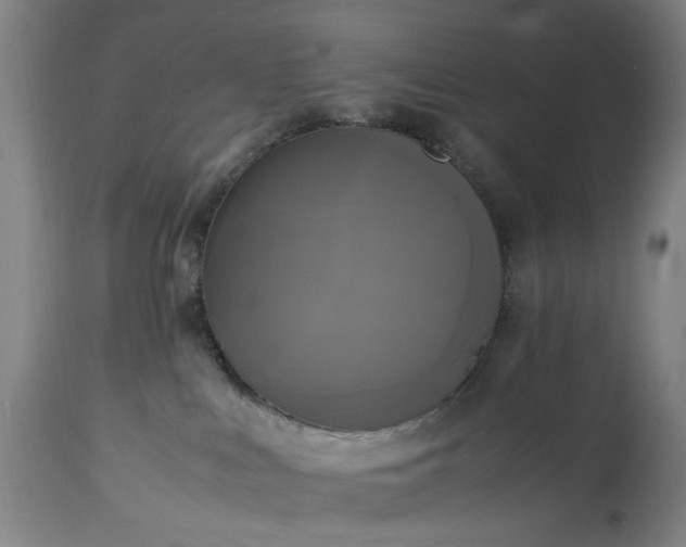 X0000113250043200909241622