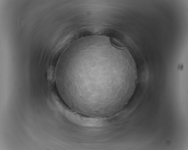 X0000113250044200909241622