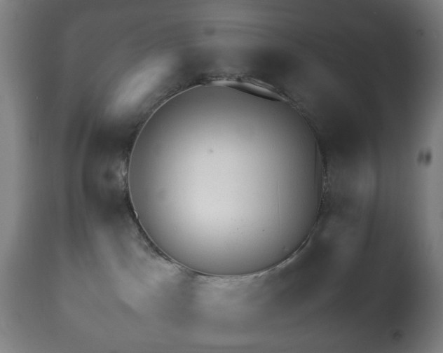 X0000113250045200909241622