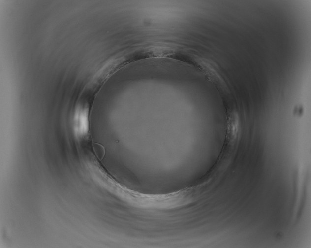 X0000113250046200909241622