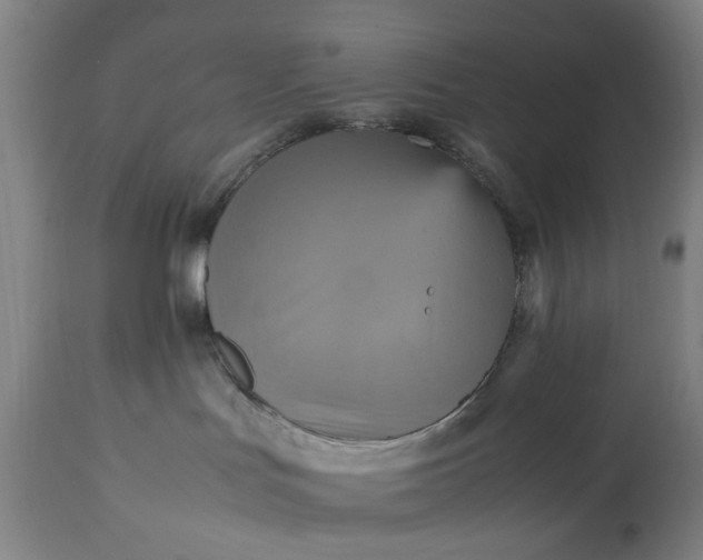 X0000113250047200909241622