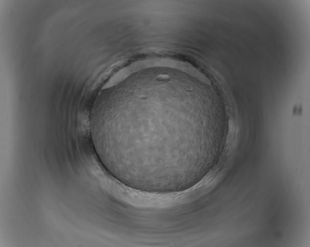 X0000113250048200909241622