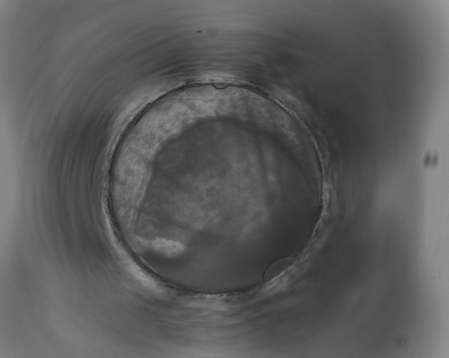 X0000113250049200909241621