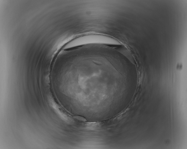 X0000113250050200909241621