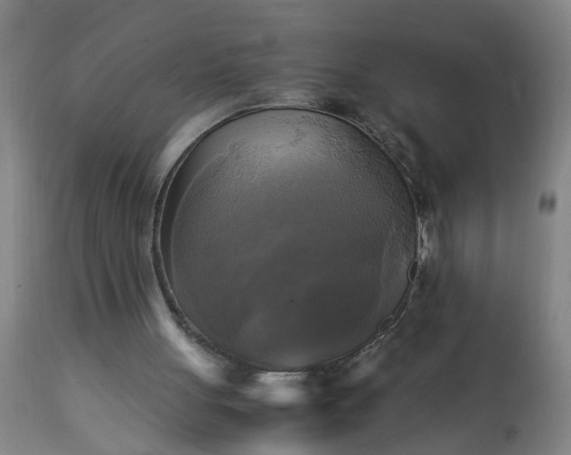 X0000113250051200909241621