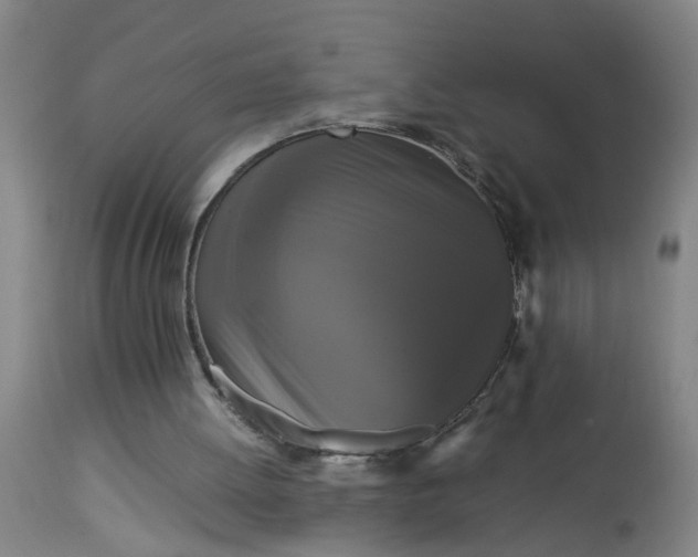 X0000113250052200909241621