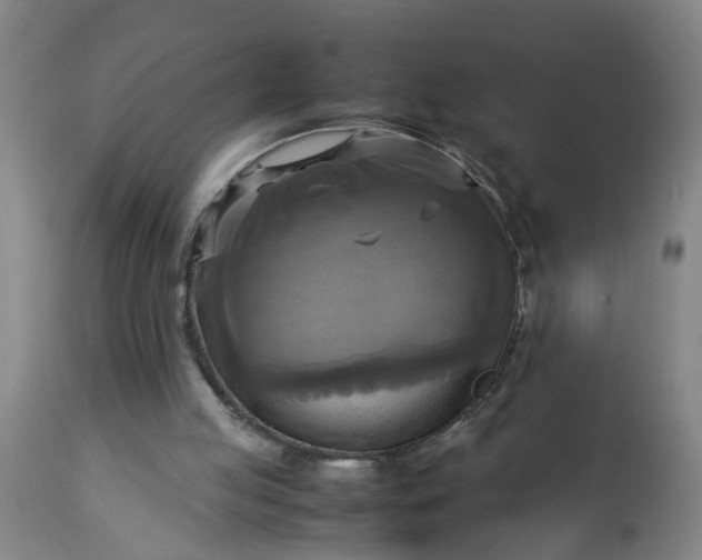 X0000113250053200909241621